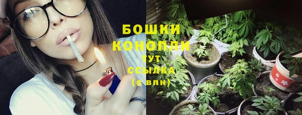 гидра Нягань