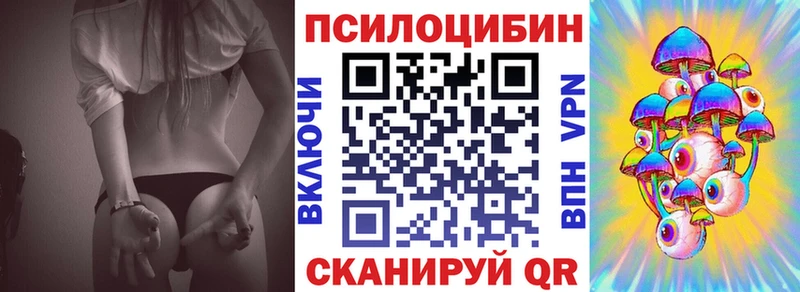 Галлюциногенные грибы Psilocybe  Баймак 